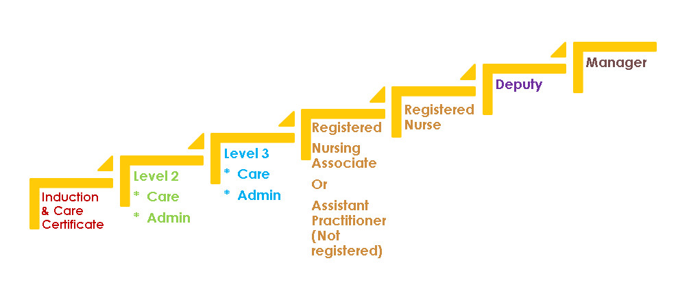 Career progression for social care settings with nursing